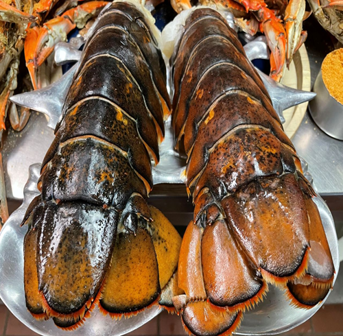 Frozen Lobster Tails for sale